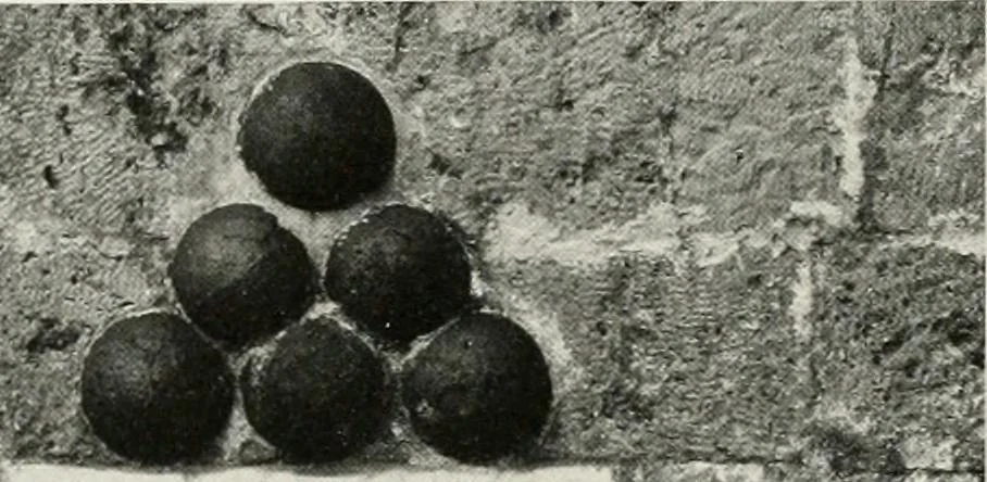 An illustration from Villas of Florence and Tuscany, 1922, leaf 291