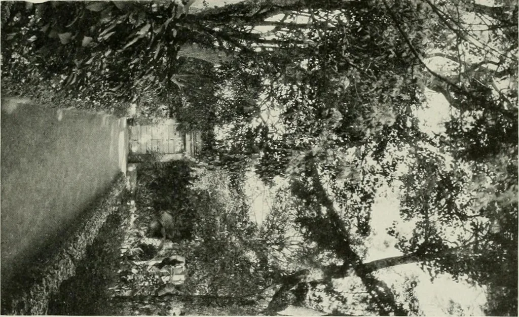 An illustration from Villas of Florence and Tuscany, 1922, leaf 300
