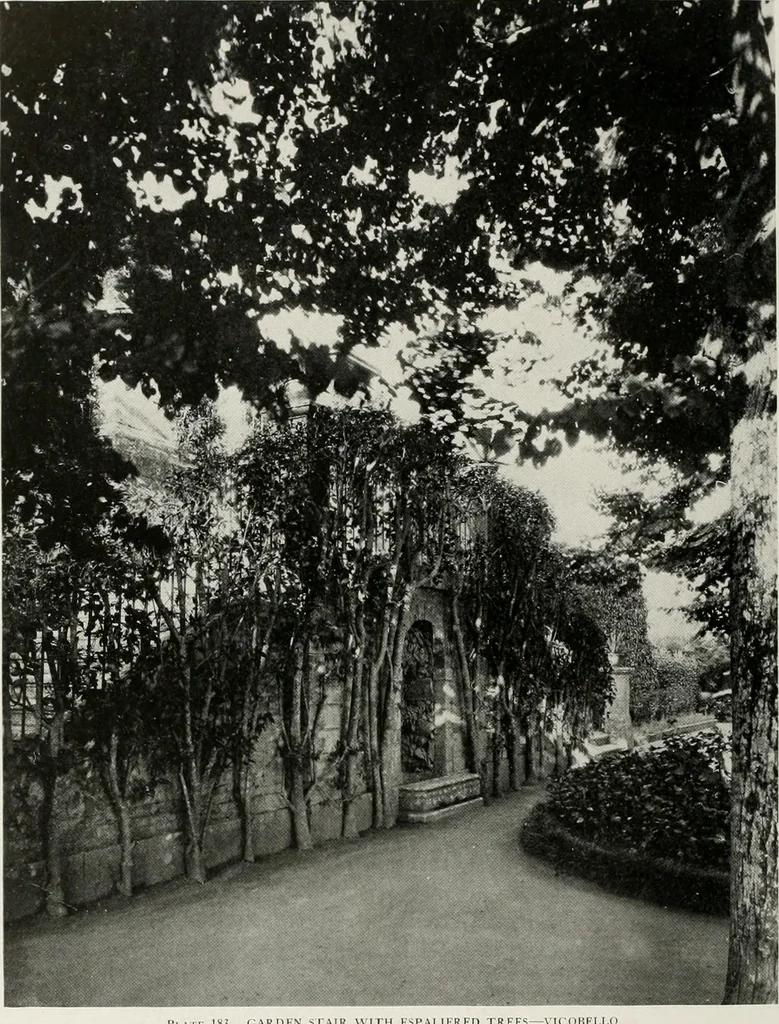 An illustration from Villas of Florence and Tuscany, 1922, leaf 301