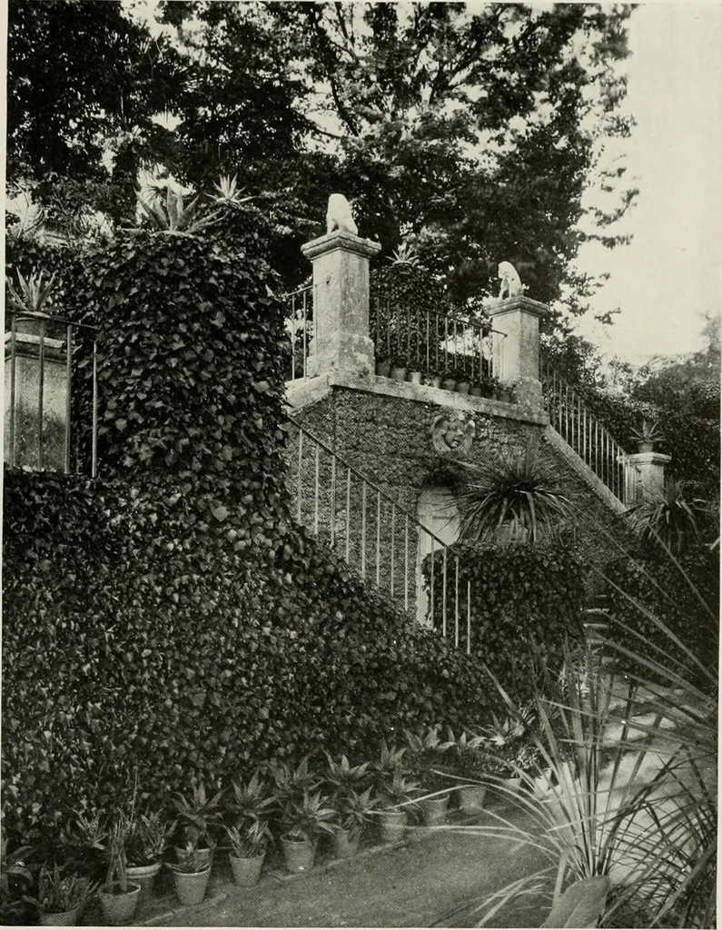 An illustration from Villas of Florence and Tuscany, 1922, leaf 302