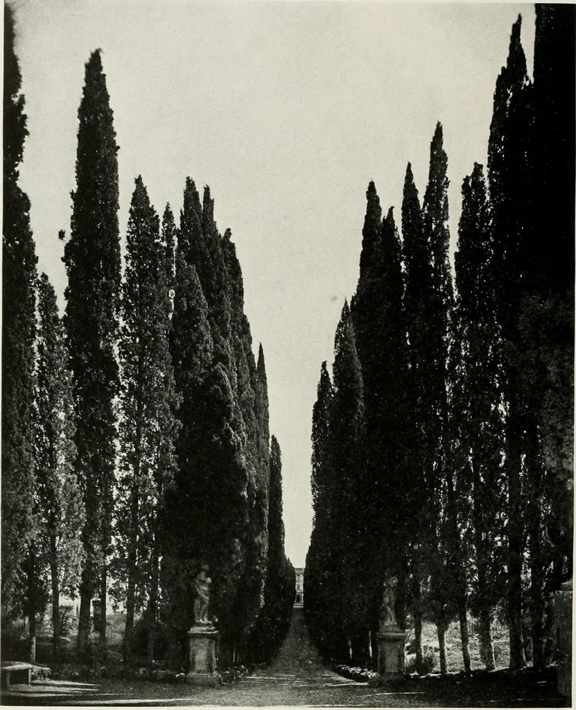An illustration from Villas of Florence and Tuscany, 1922, leaf 317