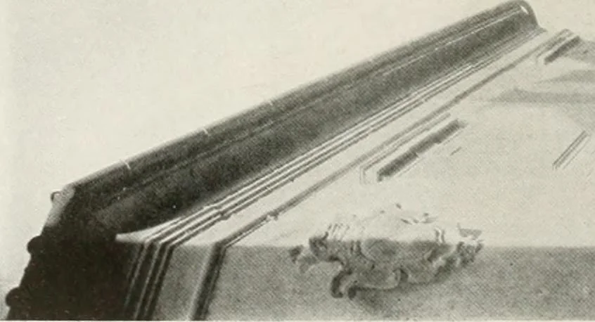 An illustration from Villas of Florence and Tuscany, 1922, leaf 333