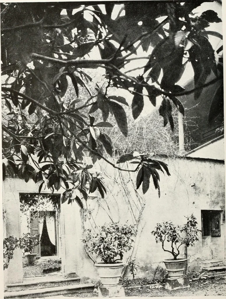 An illustration from Villas of Florence and Tuscany, 1922, leaf 113