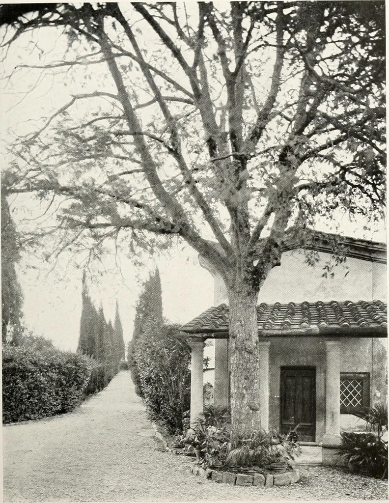 An illustration from Villas of Florence and Tuscany, 1922, leaf 134