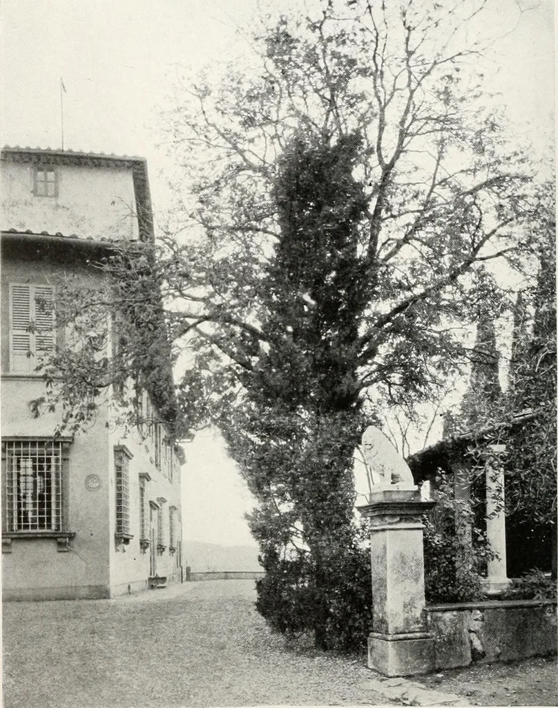 An illustration from Villas of Florence and Tuscany, 1922, leaf 135