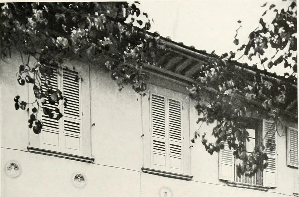 An illustration from Villas of Florence and Tuscany, 1922, leaf 138