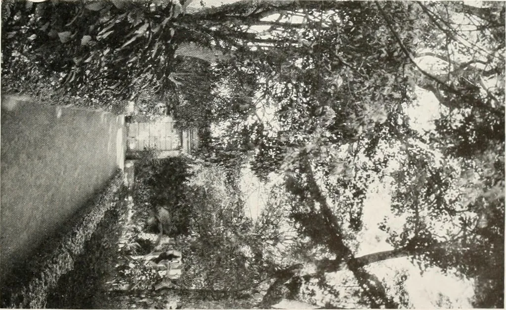 An illustration from Villas of Florence and Tuscany, 1922, leaf 300