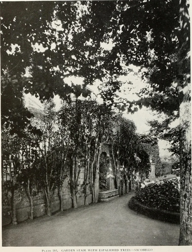 An illustration from Villas of Florence and Tuscany, 1922, leaf 301