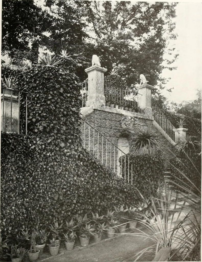 An illustration from Villas of Florence and Tuscany, 1922, leaf 302