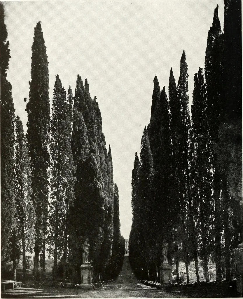 An illustration from Villas of Florence and Tuscany, 1922, leaf 317