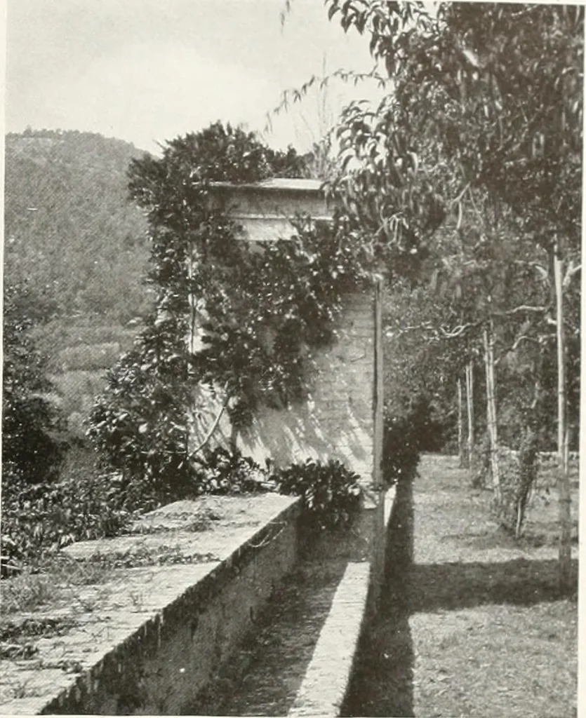 An illustration from Villas of Florence and Tuscany, 1922, leaf 378