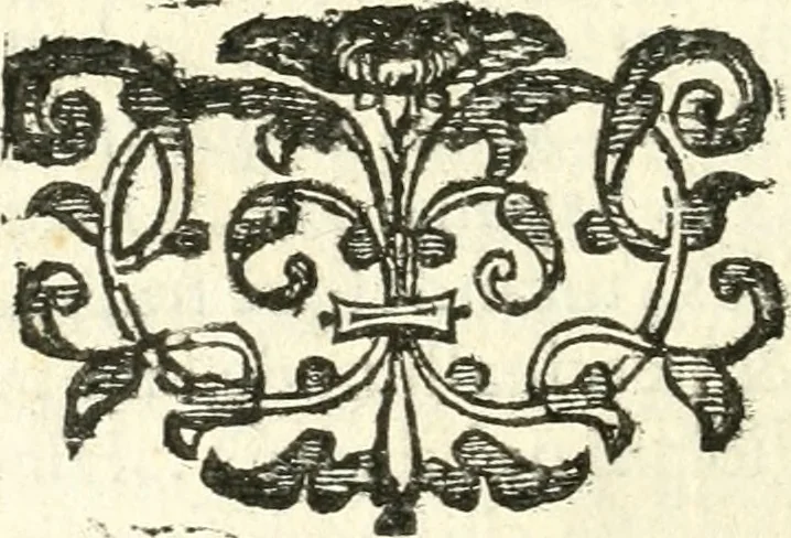 An illustration from Vindex Neapolitanae nobilitatis Caroli Borrelli cleric. regul. minor., animaduersio in Francisci Aelii Marchesii librum De Neapolitanis familiis, 1653, leaf 113