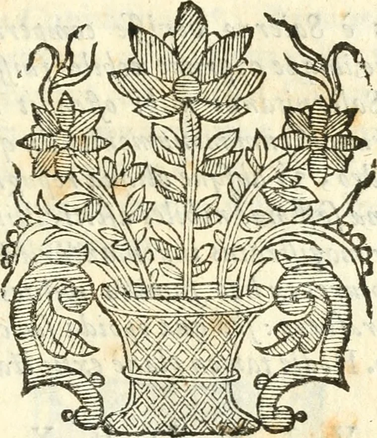 An illustration from Vindex Neapolitanae nobilitatis Caroli Borrelli cleric. regul. minor., animaduersio in Francisci Aelii Marchesii librum De Neapolitanis familiis, 1653, leaf 120
