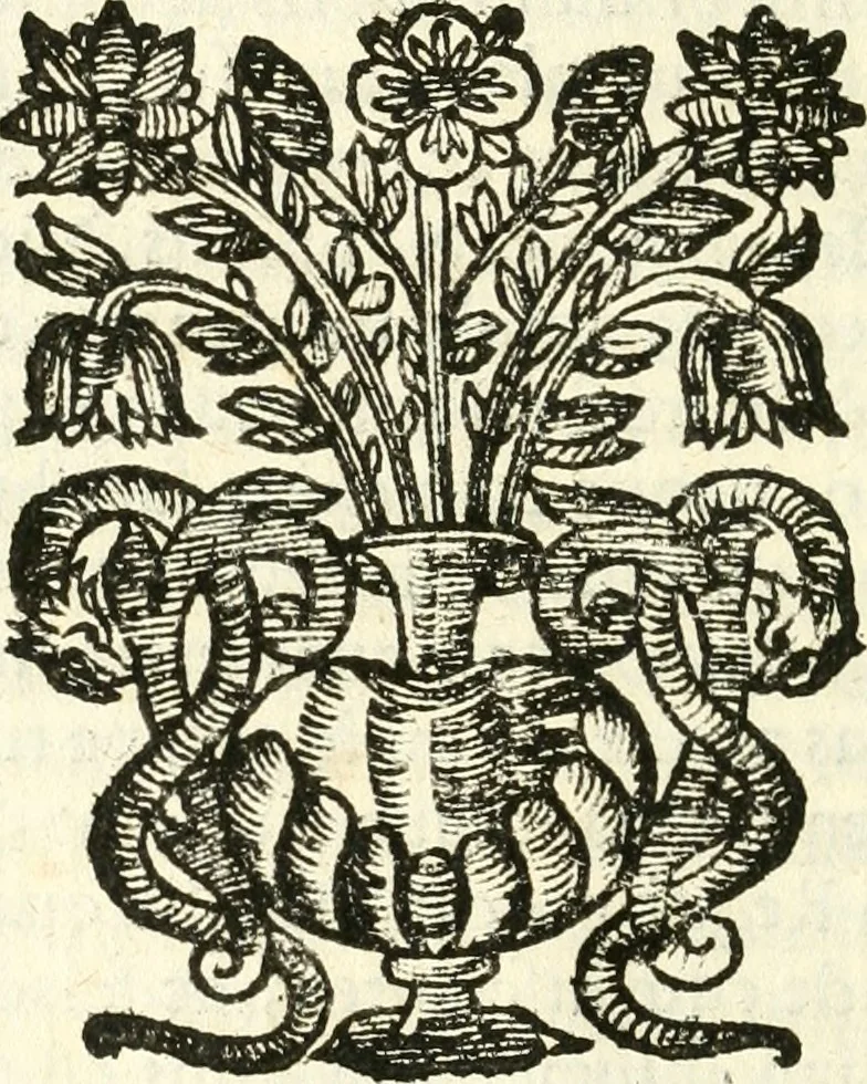 An illustration from Vindex Neapolitanae nobilitatis Caroli Borrelli cleric. regul. minor., animaduersio in Francisci Aelii Marchesii librum De Neapolitanis familiis, 1653, leaf 133