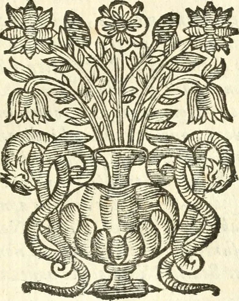 An illustration from Vindex Neapolitanae nobilitatis Caroli Borrelli cleric. regul. minor., animaduersio in Francisci Aelii Marchesii librum De Neapolitanis familiis, 1653, leaf 168