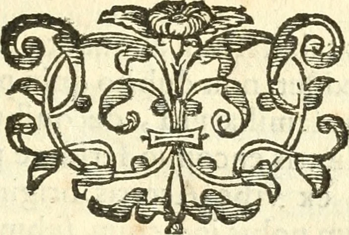 An illustration from Vindex Neapolitanae nobilitatis Caroli Borrelli cleric. regul. minor., animaduersio in Francisci Aelii Marchesii librum De Neapolitanis familiis, 1653, leaf 188