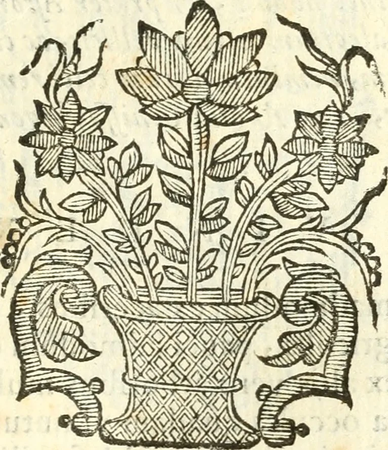 An illustration from Vindex Neapolitanae nobilitatis Caroli Borrelli cleric. regul. minor., animaduersio in Francisci Aelii Marchesii librum De Neapolitanis familiis, 1653, leaf 224