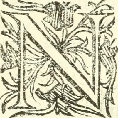 An illustration from Vindex Neapolitanae nobilitatis Caroli Borrelli cleric. regul. minor., animaduersio in Francisci Aelii Marchesii librum De Neapolitanis familiis, 1653, leaf 234