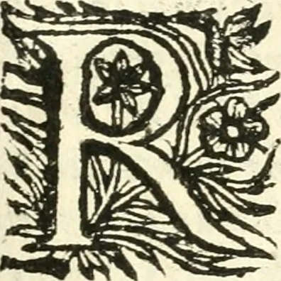 An illustration from Vindex Neapolitanae nobilitatis Caroli Borrelli cleric. regul. minor., animaduersio in Francisci Aelii Marchesii librum De Neapolitanis familiis, 1653, leaf 24