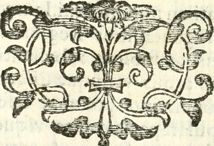 An illustration from Vindex Neapolitanae nobilitatis Caroli Borrelli cleric. regul. minor., animaduersio in Francisci Aelii Marchesii librum De Neapolitanis familiis, 1653, leaf 29