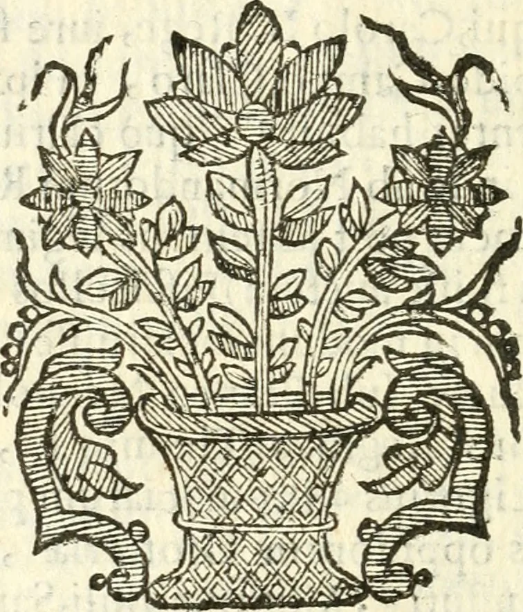 An illustration from Vindex Neapolitanae nobilitatis Caroli Borrelli cleric. regul. minor., animaduersio in Francisci Aelii Marchesii librum De Neapolitanis familiis, 1653, leaf 43