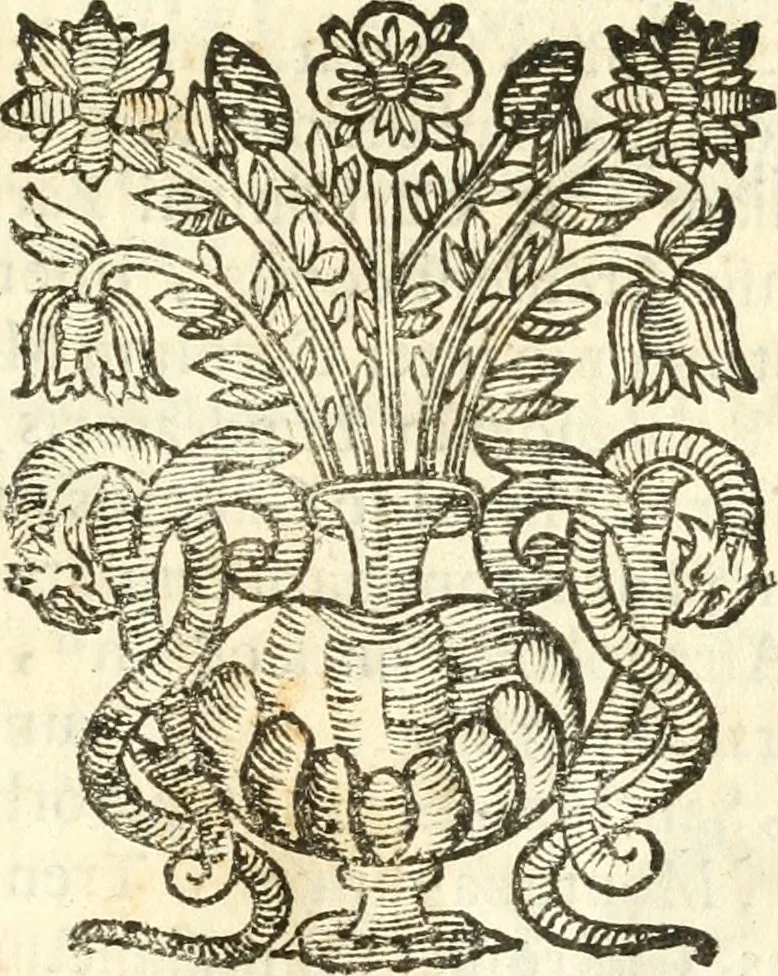 An illustration from Vindex Neapolitanae nobilitatis Caroli Borrelli cleric. regul. minor., animaduersio in Francisci Aelii Marchesii librum De Neapolitanis familiis, 1653, leaf 48