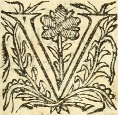 An illustration from Vindex Neapolitanae nobilitatis Caroli Borrelli cleric. regul. minor., animaduersio in Francisci Aelii Marchesii librum De Neapolitanis familiis, 1653, leaf 8