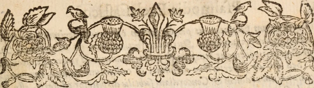 An illustration from Vindiciae psalmodiae ecclesiastico-divinae : in quibus corruptelae errores circa hunc sacrum cultum deteguntur & refelluntur, ipseque cultus hic sacer clare asseritur ..., 1657, leaf 18