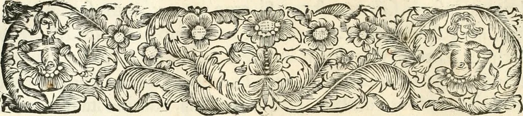 An illustration from Innocentia vindicata : in qua gravissimis argumentis ex S. Thoma petitis ostenditur, angelicum doctorem pro immaculato conceptu Deiparae sensisse & scripsisse ..., 1698, leaf 103