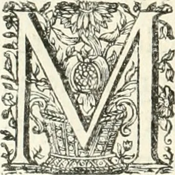 An illustration from Innocentia vindicata : in qua gravissimis argumentis ex S. Thoma petitis ostenditur, angelicum doctorem pro immaculato conceptu Deiparae sensisse & scripsisse ..., 1698, leaf 103