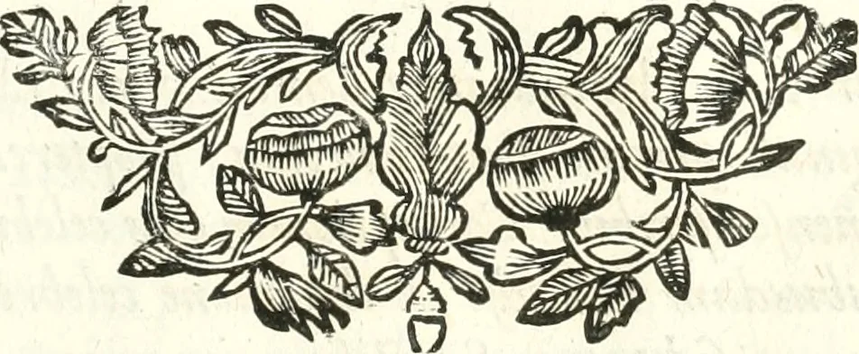 An illustration from Innocentia vindicata : in qua gravissimis argumentis ex S. Thoma petitis ostenditur, angelicum doctorem pro immaculato conceptu Deiparae sensisse & scripsisse ..., 1698, leaf 118