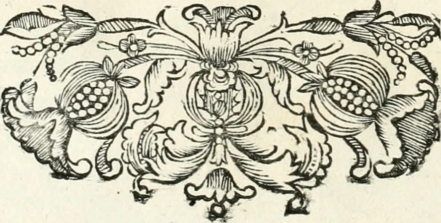 An illustration from Innocentia vindicata : in qua gravissimis argumentis ex S. Thoma petitis ostenditur, angelicum doctorem pro immaculato conceptu Deiparae sensisse & scripsisse ..., 1698, leaf 137