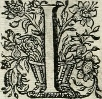 An illustration from Innocentia vindicata : in qua gravissimis argumentis ex S. Thoma petitis ostenditur, angelicum doctorem pro immaculato conceptu Deiparae sensisse & scripsisse ..., 1698, leaf 139