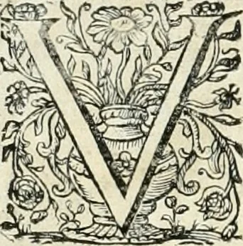 An illustration from Innocentia vindicata : in qua gravissimis argumentis ex S. Thoma petitis ostenditur, angelicum doctorem pro immaculato conceptu Deiparae sensisse & scripsisse ..., 1698, leaf 143