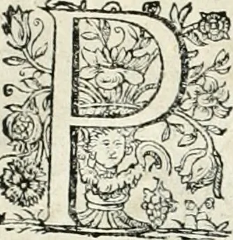 An illustration from Innocentia vindicata : in qua gravissimis argumentis ex S. Thoma petitis ostenditur, angelicum doctorem pro immaculato conceptu Deiparae sensisse & scripsisse ..., 1698, leaf 145