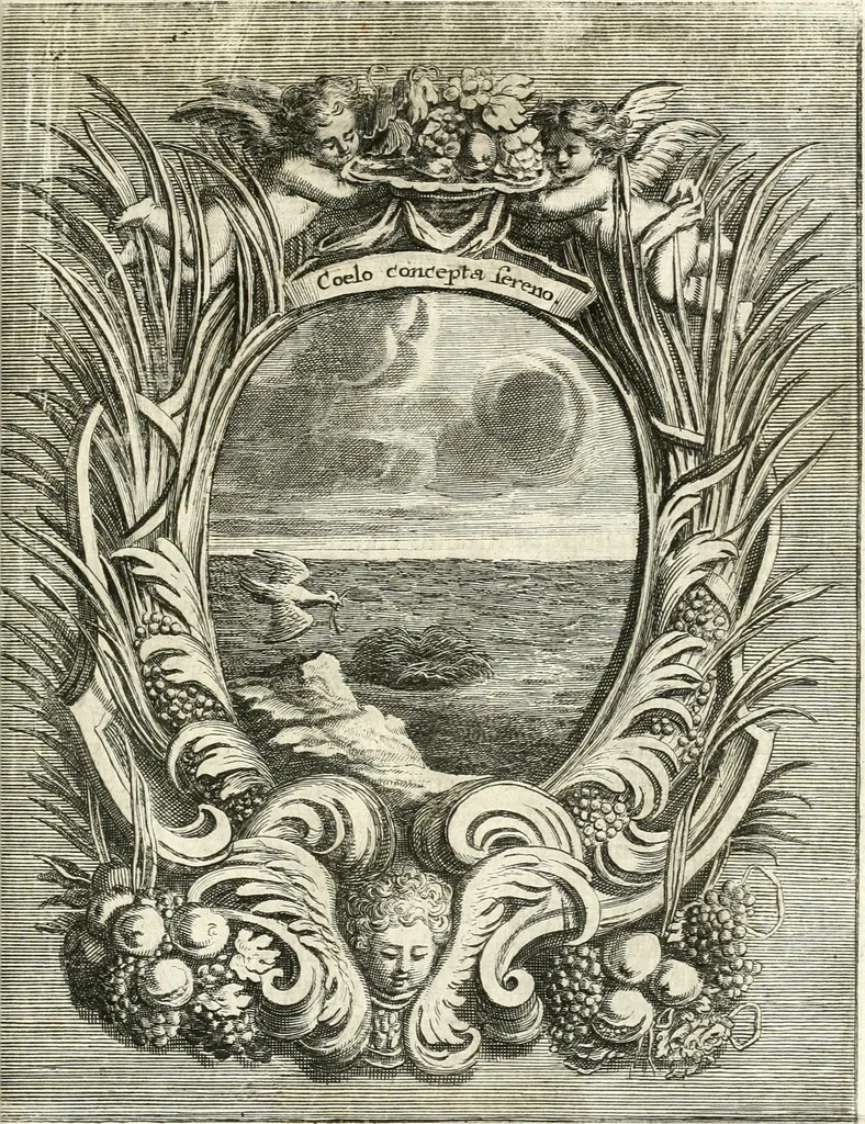 An illustration from Innocentia vindicata : in qua gravissimis argumentis ex S. Thoma petitis ostenditur, angelicum doctorem pro immaculato conceptu Deiparae sensisse & scripsisse ..., 1698, leaf 146