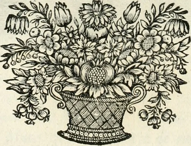An illustration from Innocentia vindicata : in qua gravissimis argumentis ex S. Thoma petitis ostenditur, angelicum doctorem pro immaculato conceptu Deiparae sensisse & scripsisse ..., 1698, leaf 147