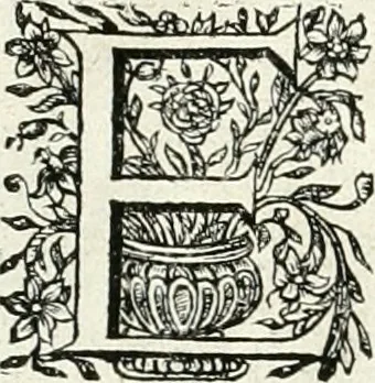 An illustration from Innocentia vindicata : in qua gravissimis argumentis ex S. Thoma petitis ostenditur, angelicum doctorem pro immaculato conceptu Deiparae sensisse & scripsisse ..., 1698, leaf 149