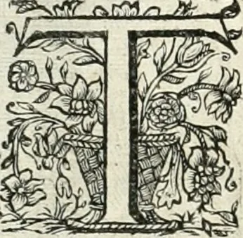 An illustration from Innocentia vindicata : in qua gravissimis argumentis ex S. Thoma petitis ostenditur, angelicum doctorem pro immaculato conceptu Deiparae sensisse & scripsisse ..., 1698, leaf 151