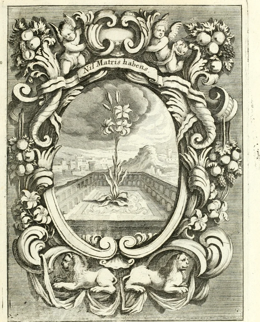 An illustration from Innocentia vindicata : in qua gravissimis argumentis ex S. Thoma petitis ostenditur, angelicum doctorem pro immaculato conceptu Deiparae sensisse & scripsisse ..., 1698, leaf 154