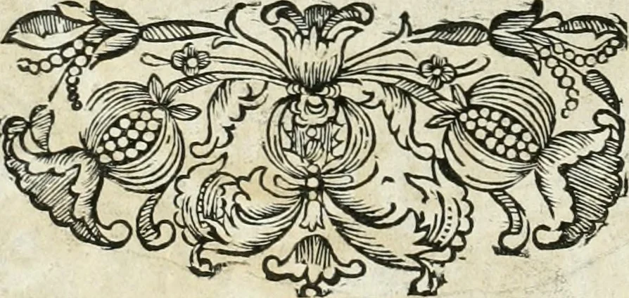 An illustration from Innocentia vindicata : in qua gravissimis argumentis ex S. Thoma petitis ostenditur, angelicum doctorem pro immaculato conceptu Deiparae sensisse & scripsisse ..., 1698, leaf 155
