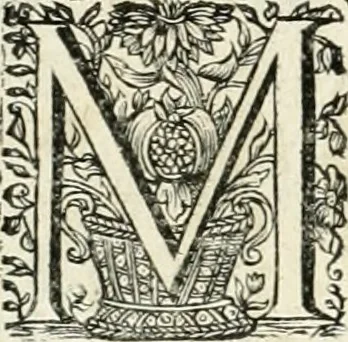 An illustration from Innocentia vindicata : in qua gravissimis argumentis ex S. Thoma petitis ostenditur, angelicum doctorem pro immaculato conceptu Deiparae sensisse & scripsisse ..., 1698, leaf 157