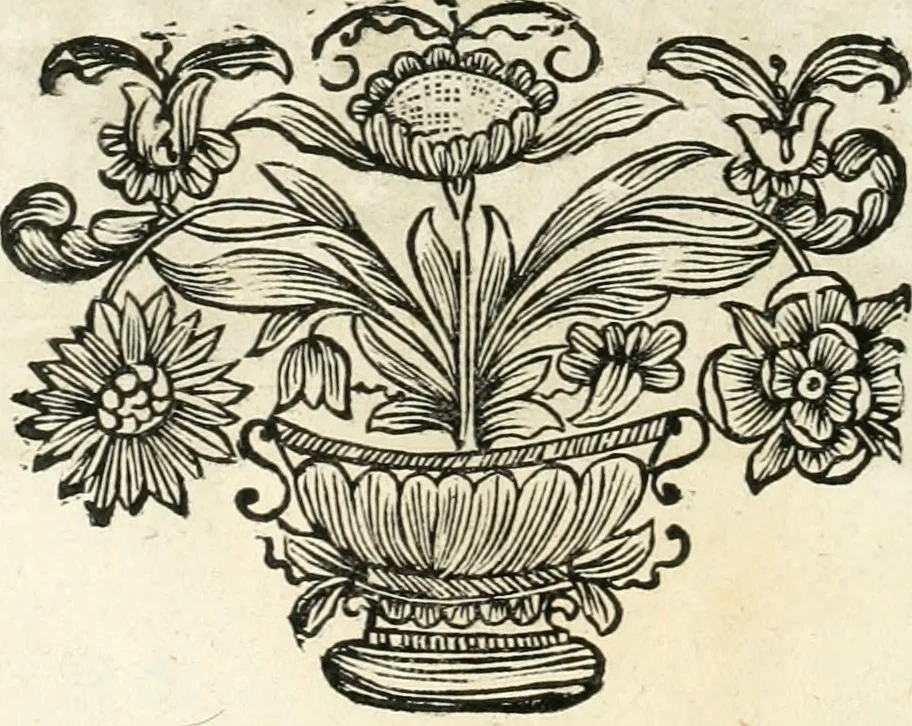 An illustration from Innocentia vindicata : in qua gravissimis argumentis ex S. Thoma petitis ostenditur, angelicum doctorem pro immaculato conceptu Deiparae sensisse & scripsisse ..., 1698, leaf 157