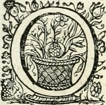 An illustration from Innocentia vindicata : in qua gravissimis argumentis ex S. Thoma petitis ostenditur, angelicum doctorem pro immaculato conceptu Deiparae sensisse & scripsisse ..., 1698, leaf 159