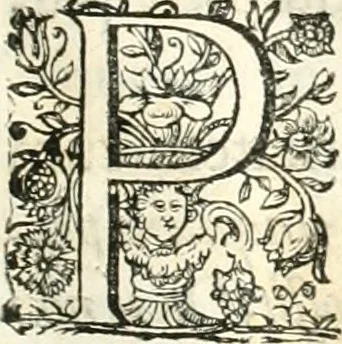 An illustration from Innocentia vindicata : in qua gravissimis argumentis ex S. Thoma petitis ostenditur, angelicum doctorem pro immaculato conceptu Deiparae sensisse & scripsisse ..., 1698, leaf 16