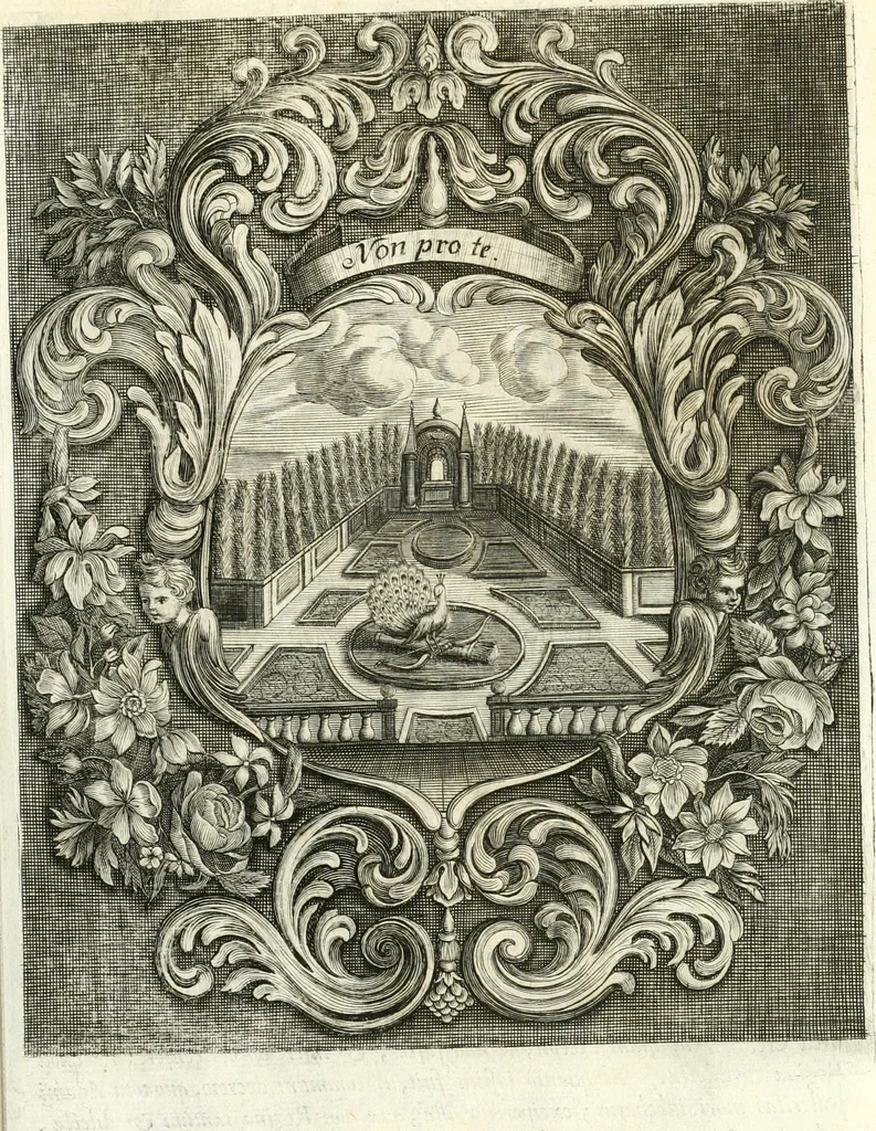 An illustration from Innocentia vindicata : in qua gravissimis argumentis ex S. Thoma petitis ostenditur, angelicum doctorem pro immaculato conceptu Deiparae sensisse & scripsisse ..., 1698, leaf 160