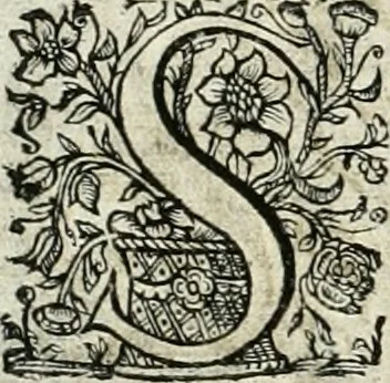 An illustration from Innocentia vindicata : in qua gravissimis argumentis ex S. Thoma petitis ostenditur, angelicum doctorem pro immaculato conceptu Deiparae sensisse & scripsisse ..., 1698, leaf 161