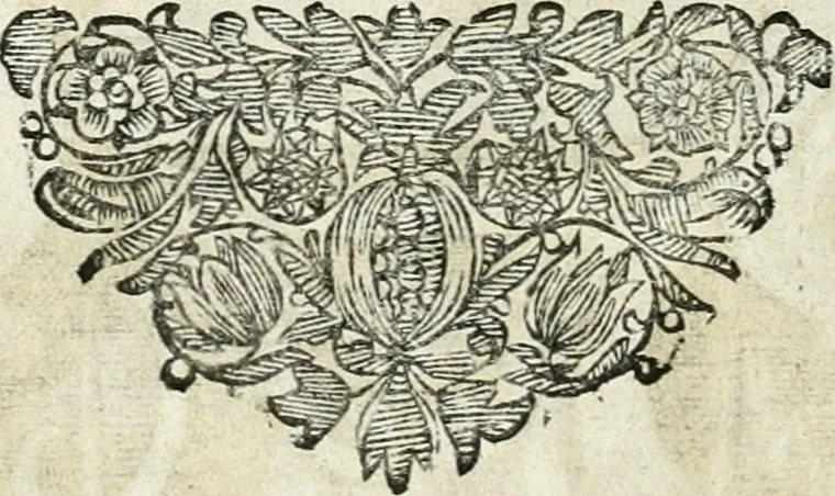 An illustration from Innocentia vindicata : in qua gravissimis argumentis ex S. Thoma petitis ostenditur, angelicum doctorem pro immaculato conceptu Deiparae sensisse & scripsisse ..., 1698, leaf 163