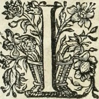An illustration from Innocentia vindicata : in qua gravissimis argumentis ex S. Thoma petitis ostenditur, angelicum doctorem pro immaculato conceptu Deiparae sensisse & scripsisse ..., 1698, leaf 165