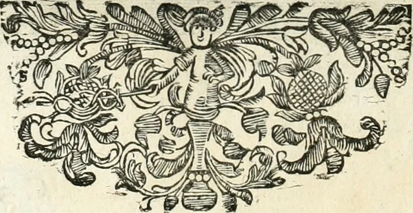 An illustration from Innocentia vindicata : in qua gravissimis argumentis ex S. Thoma petitis ostenditur, angelicum doctorem pro immaculato conceptu Deiparae sensisse & scripsisse ..., 1698, leaf 165